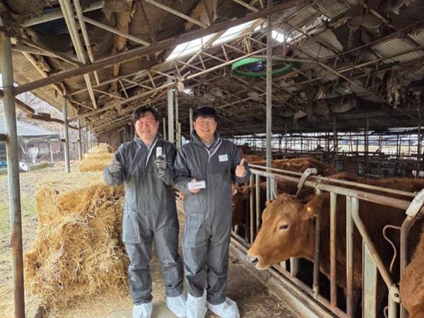 라이브케어, 13억 생체 빅데이터 기반 ‘AI 구제역 방역 플랫폼’ 공개