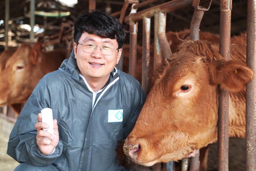 전세계 골칫거리 소 ‘방귀’, 한국 스타트업이 해법 찾았다